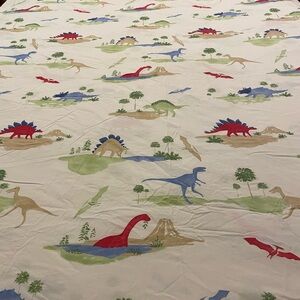 Pottery Barn Kids full Dino duvet, twin Circo Dino sheet…Dino pillowcase! Fun!!